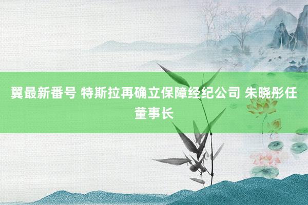 翼最新番号 特斯拉再确立保障经纪公司 朱晓彤任董事长