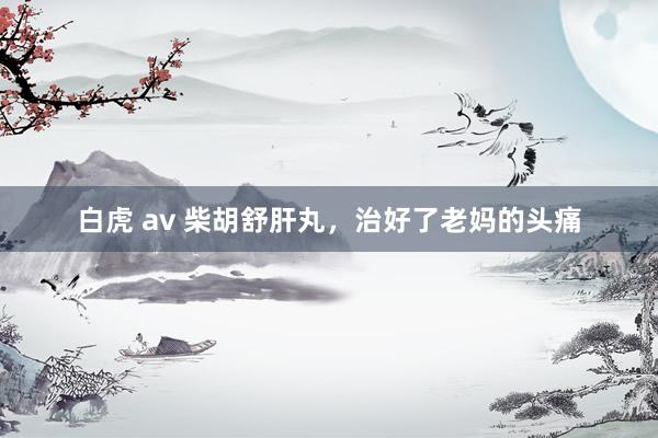 白虎 av 柴胡舒肝丸,治好了老妈的头痛