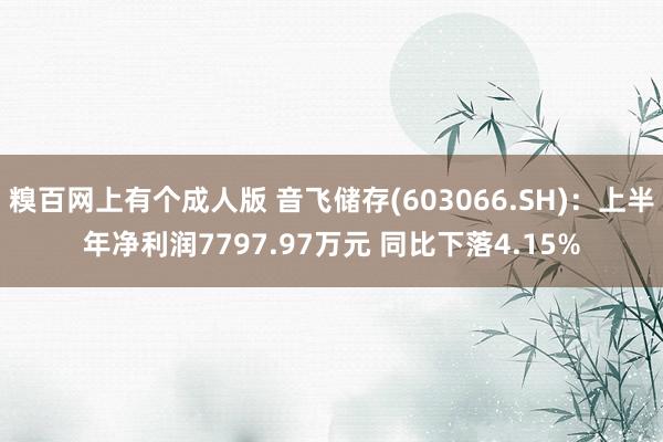 糗百网上有个成人版 音飞储存(603066.SH):上半年净利润7797.97万元 同比下落4.15%