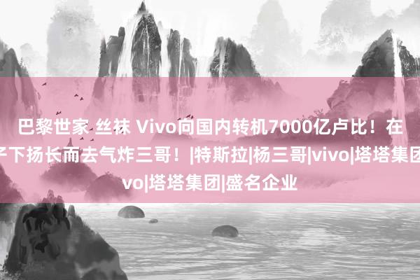 巴黎世家 丝袜 Vivo向国内转机7000亿卢比！在印度眼皮子下扬长而去气炸三哥！|特斯拉|杨三哥|vivo|塔塔集团|盛名企业