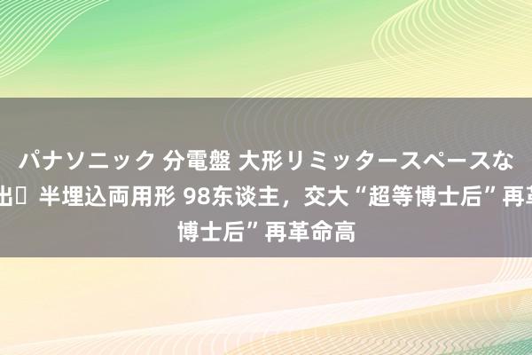 パナソニック 分電盤 大形リミッタースペースなし 露出・半埋込両用形 98东谈主，交大“超等博士后”再革命高