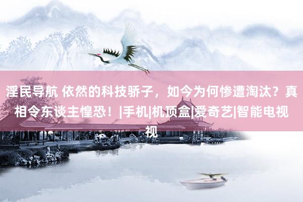 淫民导航 依然的科技骄子，如今为何惨遭淘汰？真相令东谈主惶恐！|手机|机顶盒|爱奇艺|智能电视
