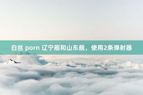 白丝 porn 辽宁舰和山东舰，使用2条弹射器