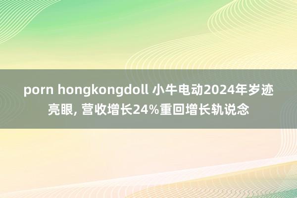 porn hongkongdoll 小牛电动2024年岁迹亮眼， 营收增长24%重回增长轨说念