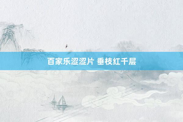 百家乐涩涩片 垂枝红千层